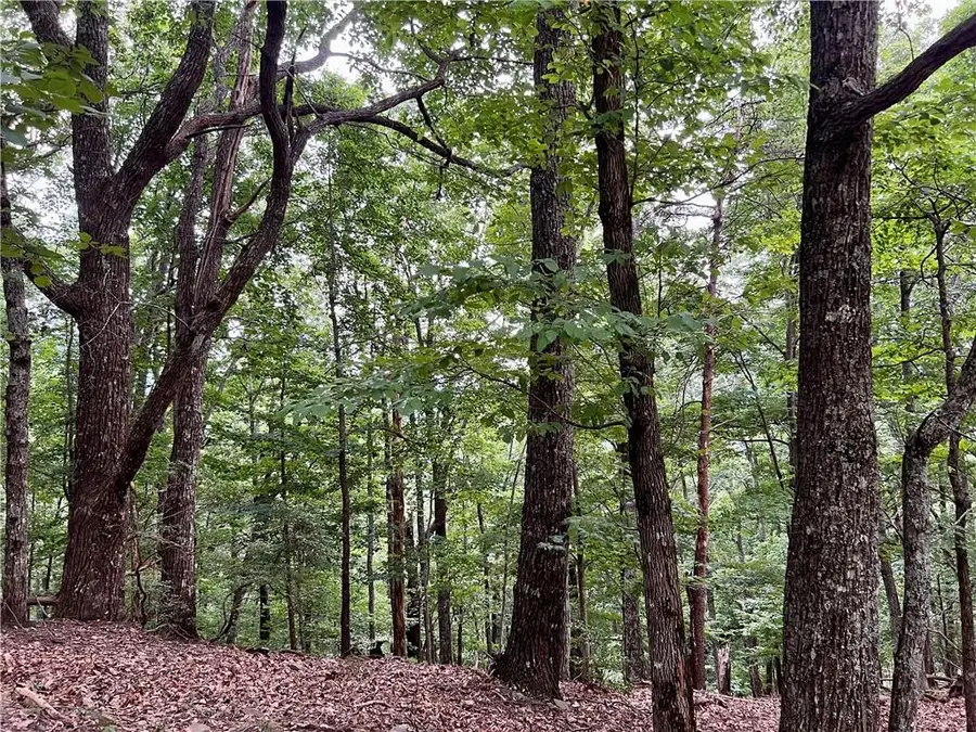 3394 Bella Vista Trail, Jasper, GA 30143 - #3