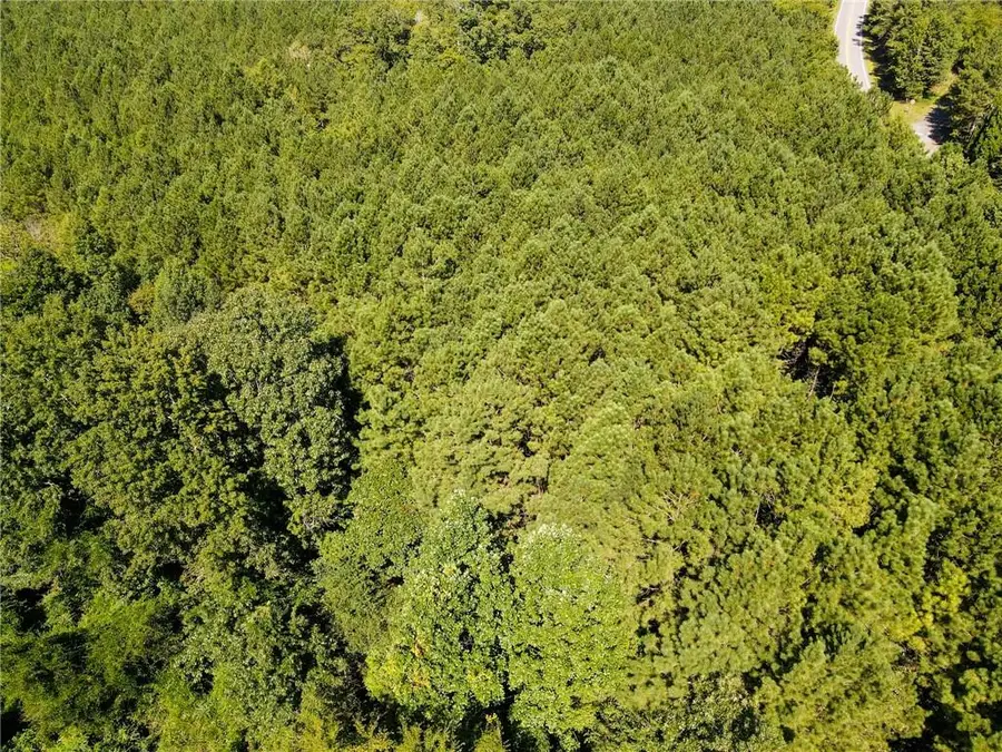 0 Resaca Lafayette Road, Calhoun, GA 30701 - Image #2