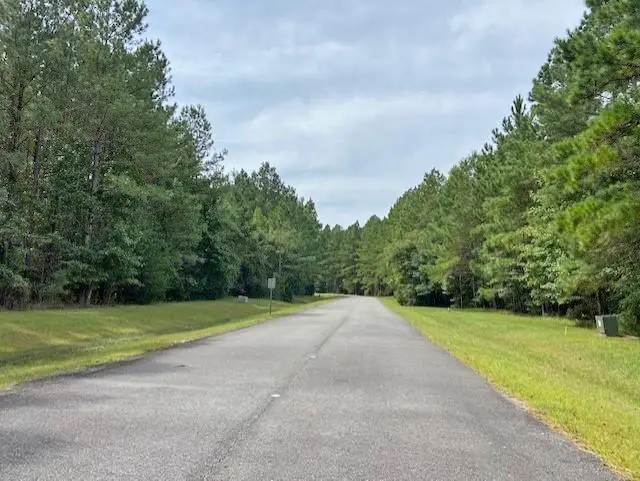 0 La Sole Lane, Waverly, GA 31565 - Image #3