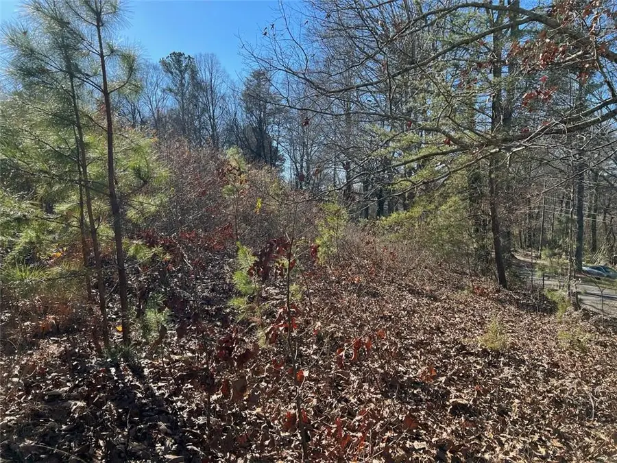 280 Lowry Street, Ball Ground, GA 30107 - Image #2