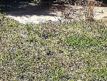 6082 Kathie Court, Ellenwood, GA 30294 - Image #3