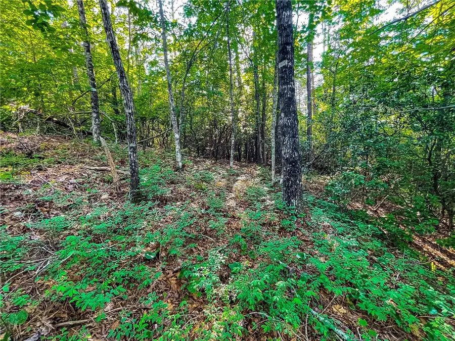 1.06AC Villa Weg, Helen, GA 30545 - Image #2