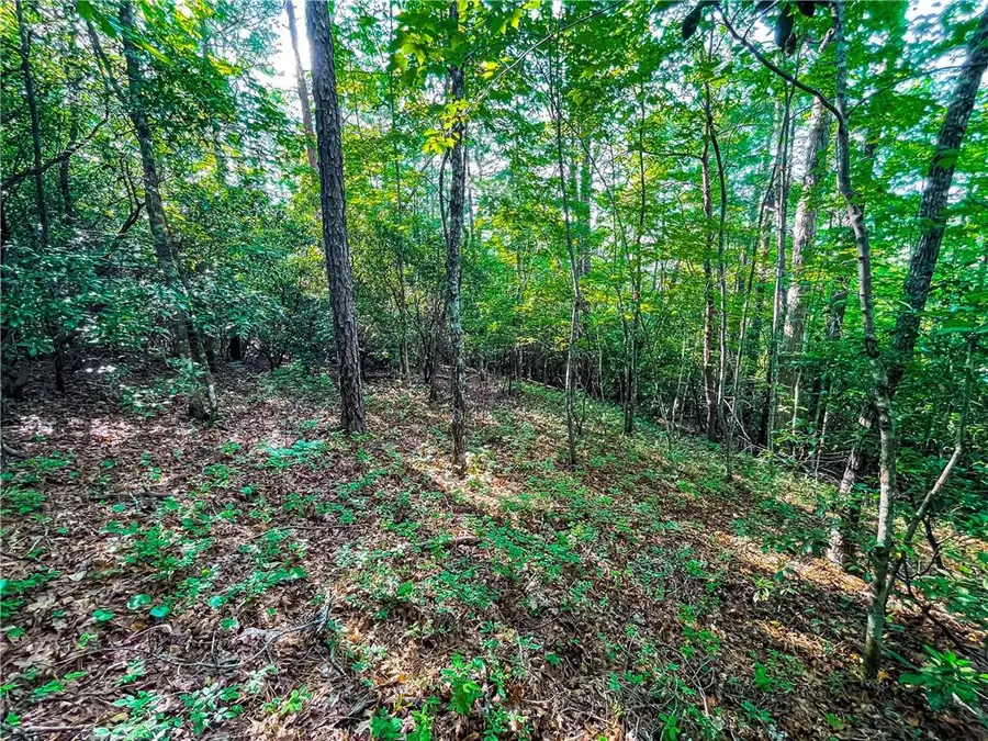 1.06AC Villa Weg, Helen, GA 30545 - Image #3