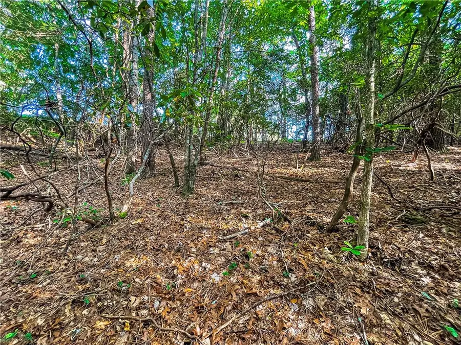 1AC Bahn Erlenbruck, Helen, GA 30545 - Image #2