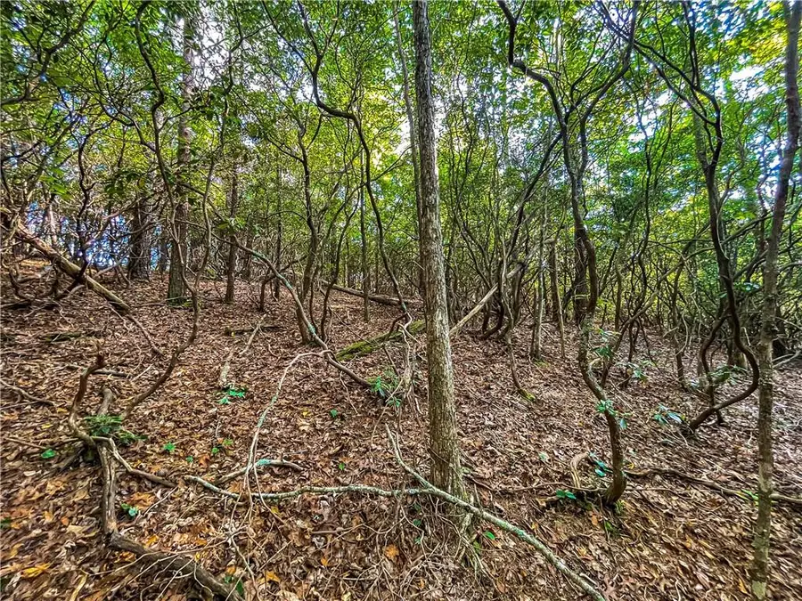 1AC Bahn Erlenbruck, Helen, GA 30545 - Image #3