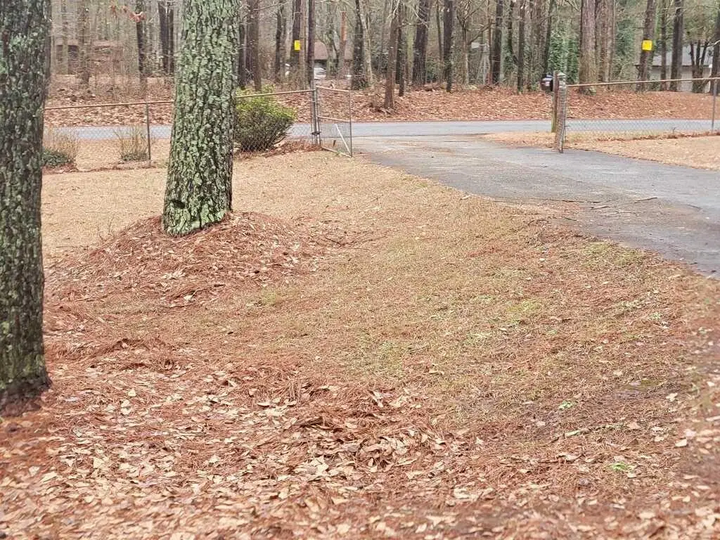 856 Virginia Court Se, Conyers, GA 30094 - Image #1