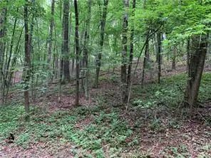 0 Walhalla Court, Ellijay, GA 30540