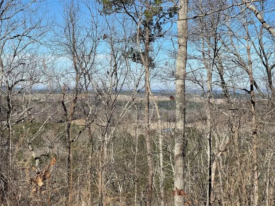 0A Johnson Lake Road, Cedartown, GA 30125 - Image #2