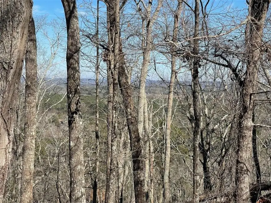 0A Johnson Lake Road, Cedartown, GA 30125 - Image #3