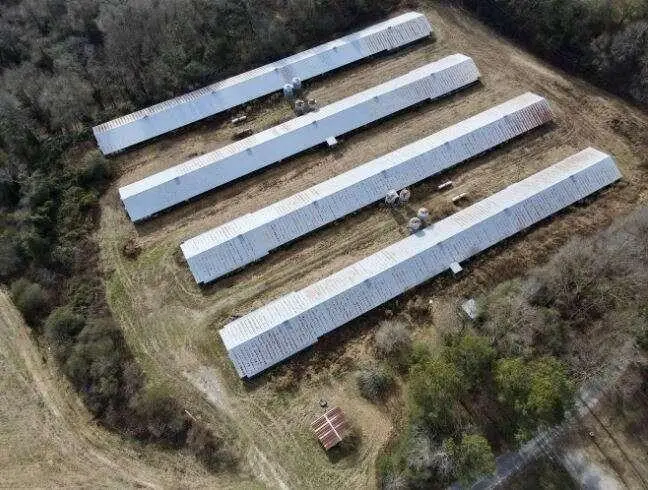 121 Gene Crane Road, Maysville, GA 30558 - Image #3