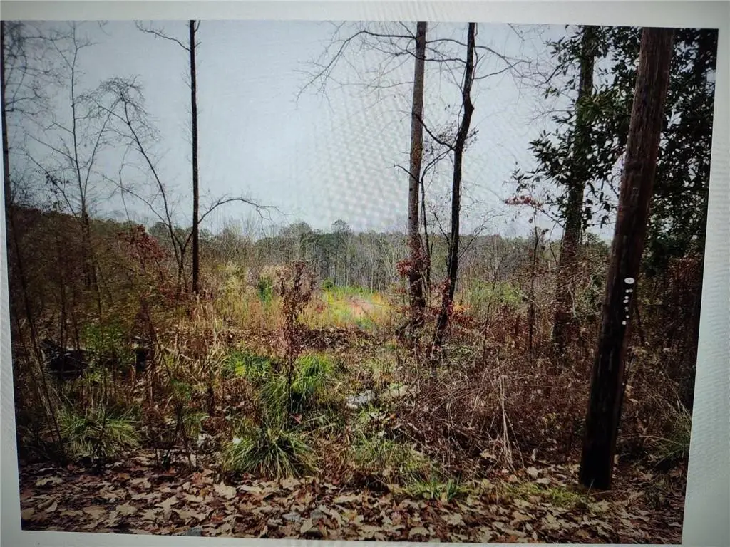 546100 Stonewall Tell, Atlanta, GA 30349 - #1