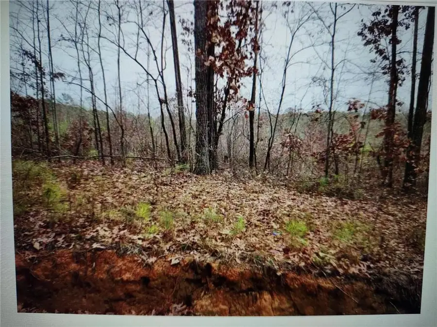 546100 Stonewall Tell, Atlanta, GA 30349 - #2