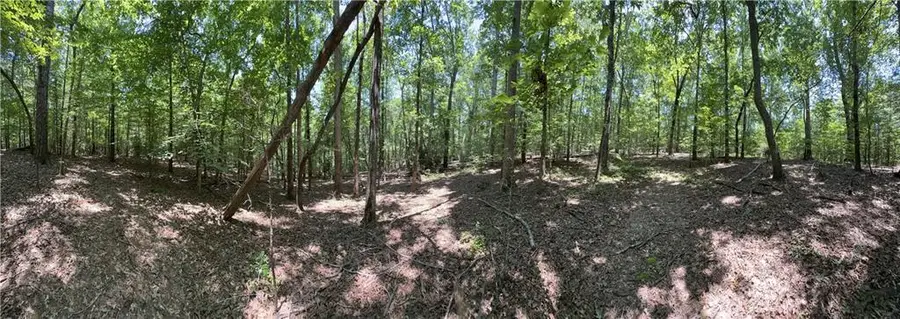 0000 Rocky Point Road, Covington, GA 30014 - Image #3