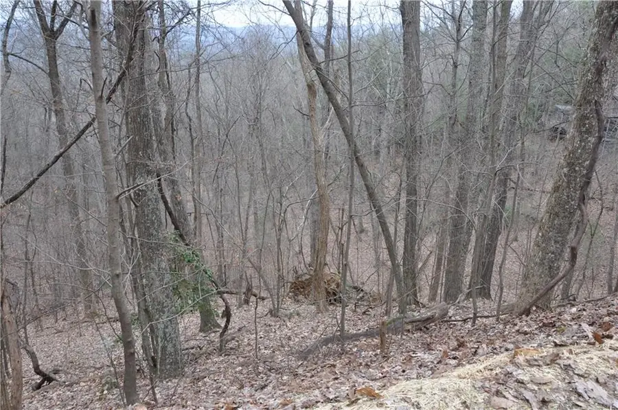 3012 Wild Turkey Bluff, Big Canoe, GA 30143 - Image #2
