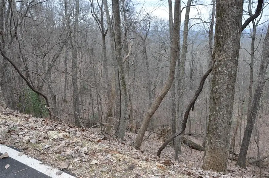 3012 Wild Turkey Bluff, Big Canoe, GA 30143 - Image #3
