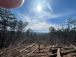 52 Hwy, Chatsworth, GA 30705 - Image #3