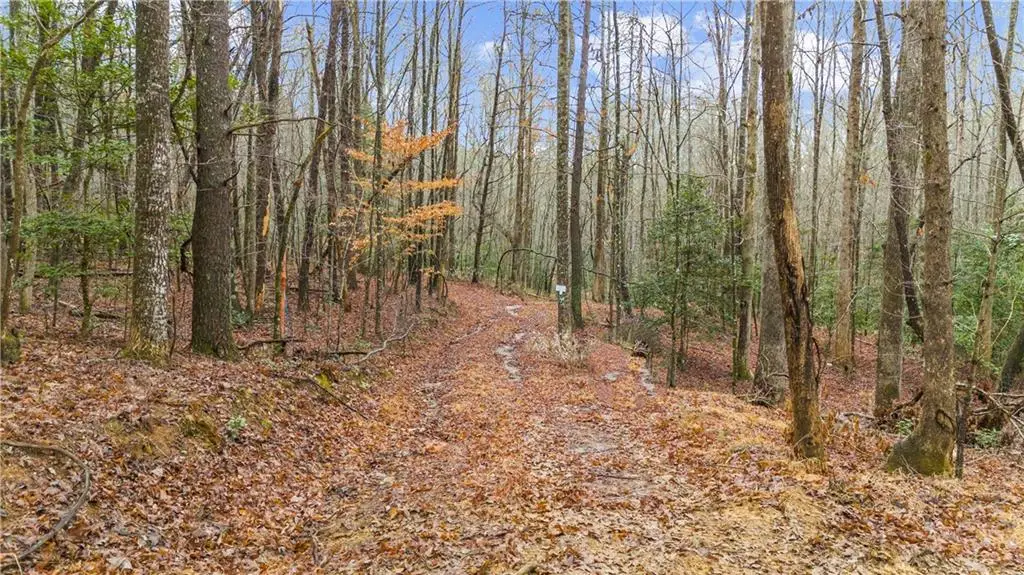 Lot 5 Still Rd, Dahlonega, GA 30533 - #1