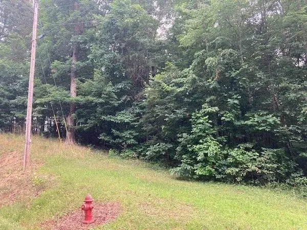 356 Waters Edge Drive, Martin, GA 30557