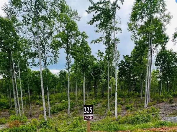 LT 225 Oak Park Drive, Talking Rock, GA 30175