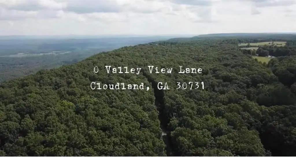 0 Valley View Lane, Menlo, GA 30731 - Image #1