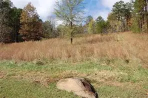 1200 Roy Brown Road, Buchanan, GA 30113 - Image #3