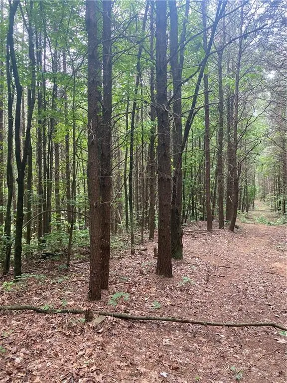 0 Ebenezer Road, Ellijay, GA 30536 - Image #2