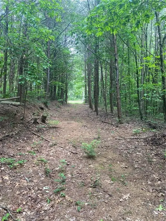 0 Ebenezer Road, Ellijay, GA 30536 - Image #3