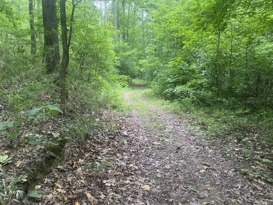 0 Kelly Bridge Road, Dawsonville, GA 30534 - Image #3