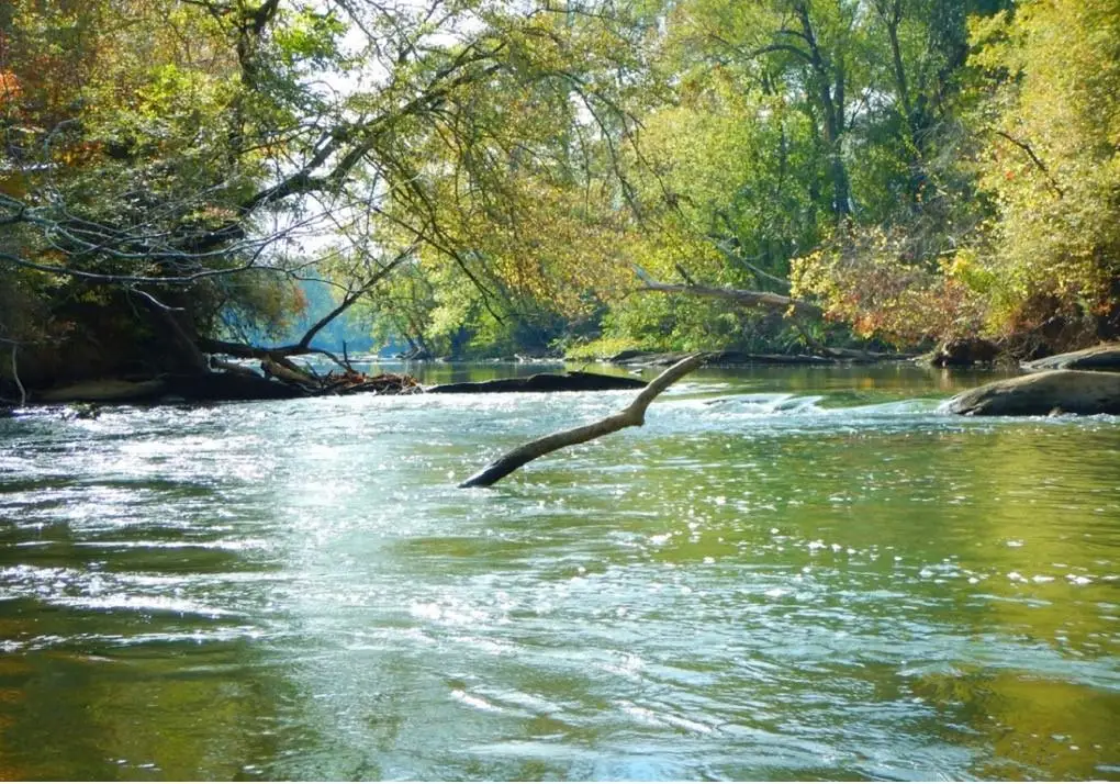 0 Steadman #72 Road, Tallapoosa, GA 30176 - Image #1