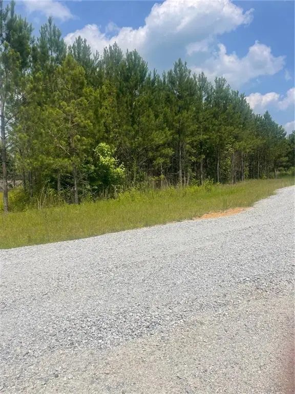 0 Steadman #72 Road, Tallapoosa, GA 30176 - Image #2