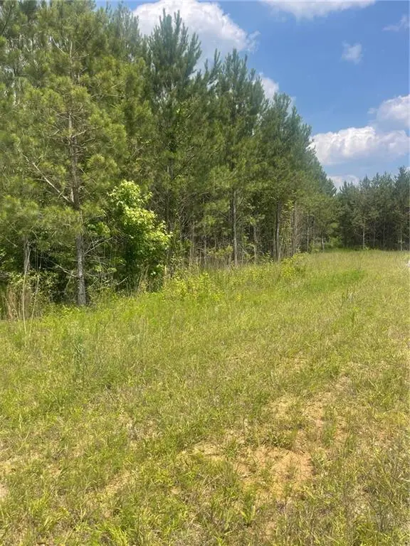 0 Steadman #72 Road, Tallapoosa, GA 30176 - Image #3