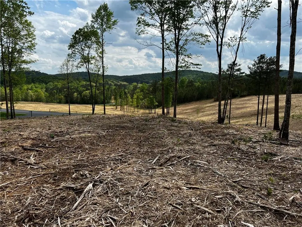 250 Highgrove Drive, Talking Rock, GA 30175 - Image #1