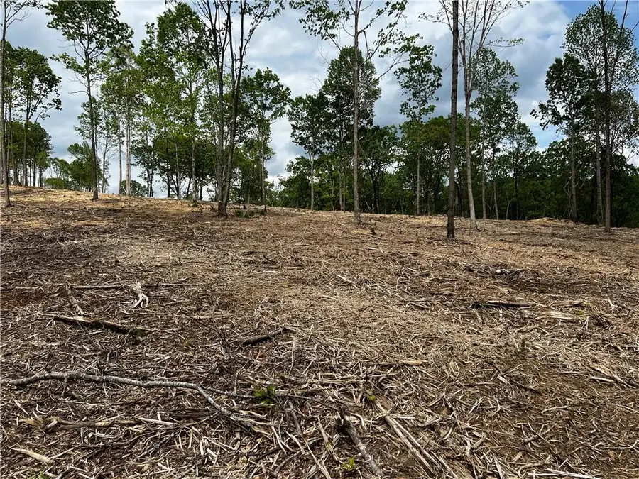 250 Highgrove Drive, Talking Rock, GA 30175 - Image #2