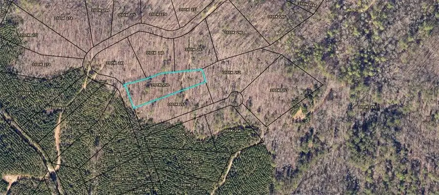 250 Highgrove Drive, Talking Rock, GA 30175 - Image #3