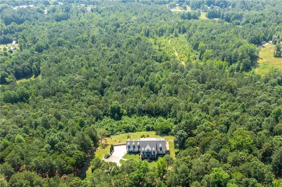 229 Steele Road, Tallapoosa, GA 30176 - Image #2