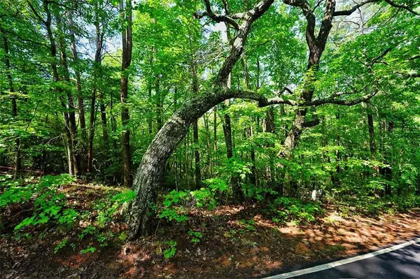 2197 Mcelroy Mountain Drive, Big Canoe, GA 30143