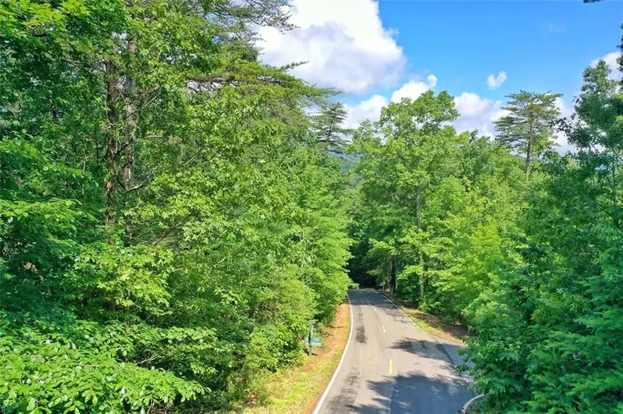 2197 Mcelroy Mountain Drive, Big Canoe, GA 30143 - Image #2