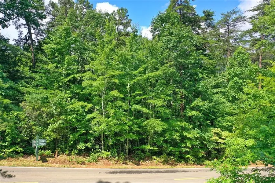 2197 Mcelroy Mountain Drive, Big Canoe, GA 30143 - Image #3