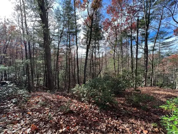 J273 Pine Ridge Road, Ellijay, GA 30536