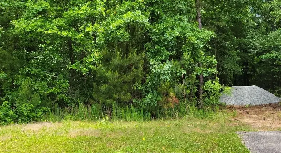 0 S Bethany Road, Locust Grove, GA 30248 - Image #3