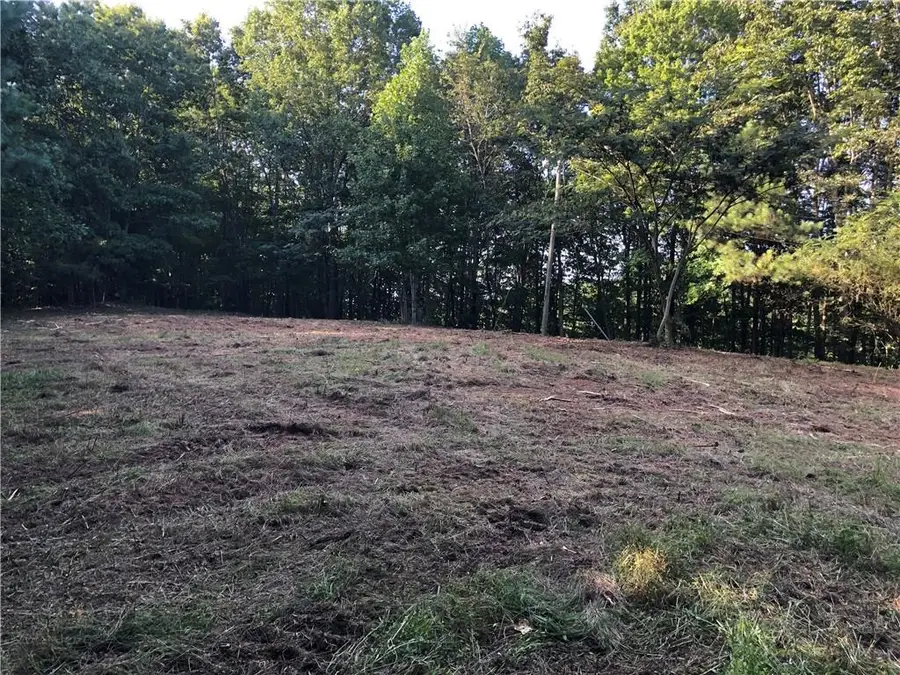 4143 Talking Rock Road, Talking Rock, GA 30175 - #3