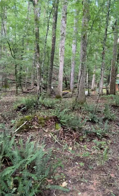 0 Leguin Mill Road, Locust Grove, GA 30248 - Image #2