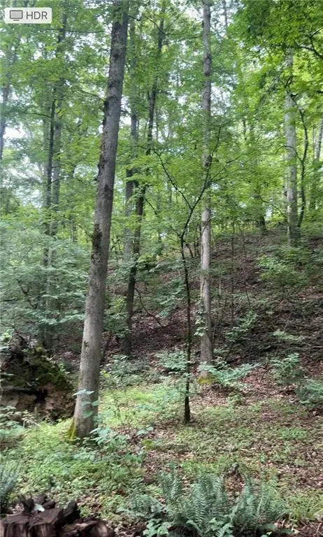 0 Leguin Mill Road, Locust Grove, GA 30248 - Image #3