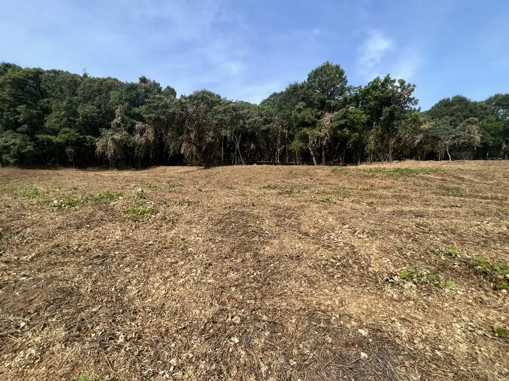 0 Damascus Road, Gainesville, GA 30506 - Image #1