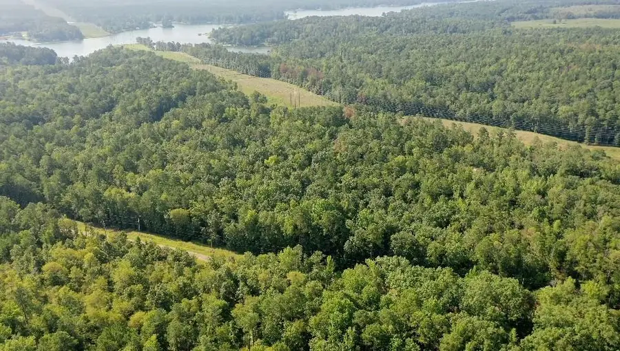 0 Anthems Drive, Sparta, GA 31087 - Image #3