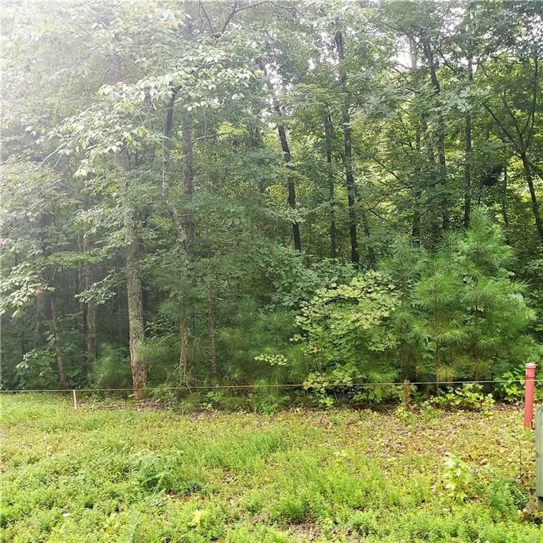 168 Hopewell Church Road Ne, Ranger, GA 30734 - Image #1