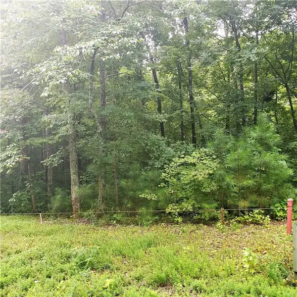 168 Hopewell Church Road Ne, Ranger, GA 30734