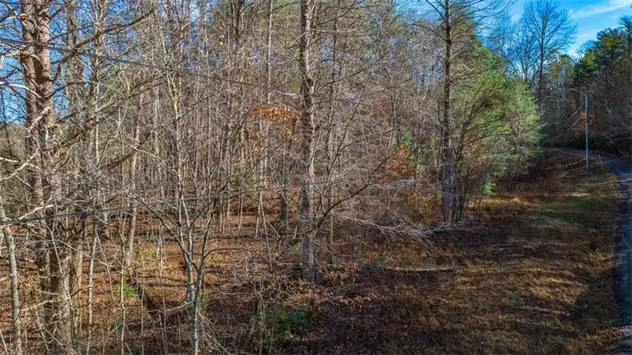 LT 28 Rachel Drive, McCaysville, GA 30555 - Image #3