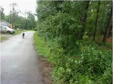 0 Southern Shores Road, Jackson, GA 30233 - Image #3