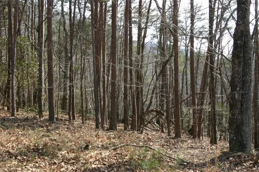 1211 Oglethorpe Mountain Court, Jasper, GA 30143 - #2